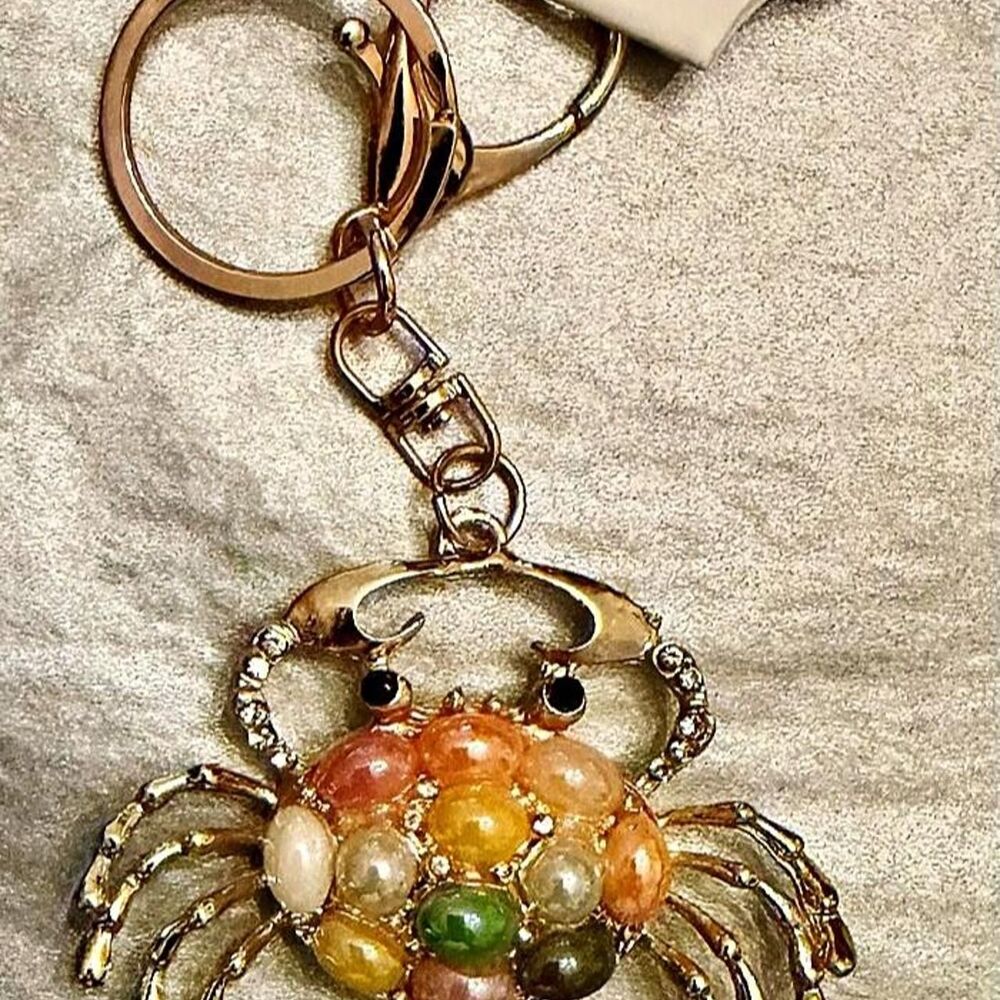 Women's multi Accessory - Picture 1 of 4